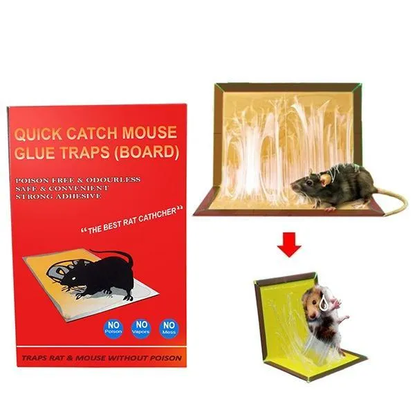 203 Red Mice Glue Traps (1pc)