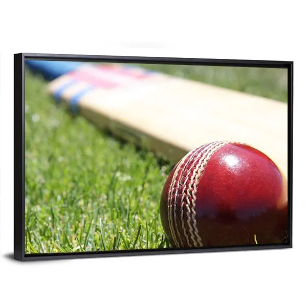 Ball & Bat On Grass Canvas Wall Art