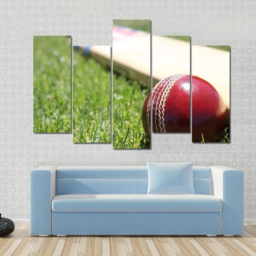 Ball & Bat On Grass Canvas Wall Art