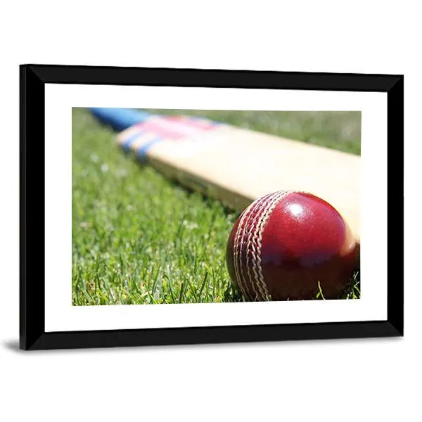 Ball & Bat On Grass Canvas Wall Art