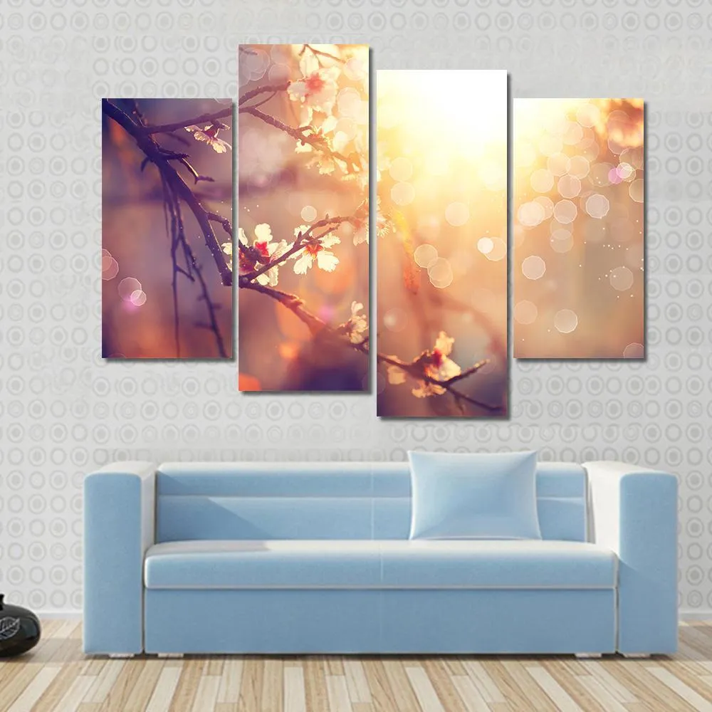 Blooming Tree With Sunlight Canvas Wall Art