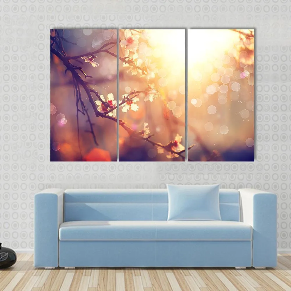 Blooming Tree With Sunlight Canvas Wall Art