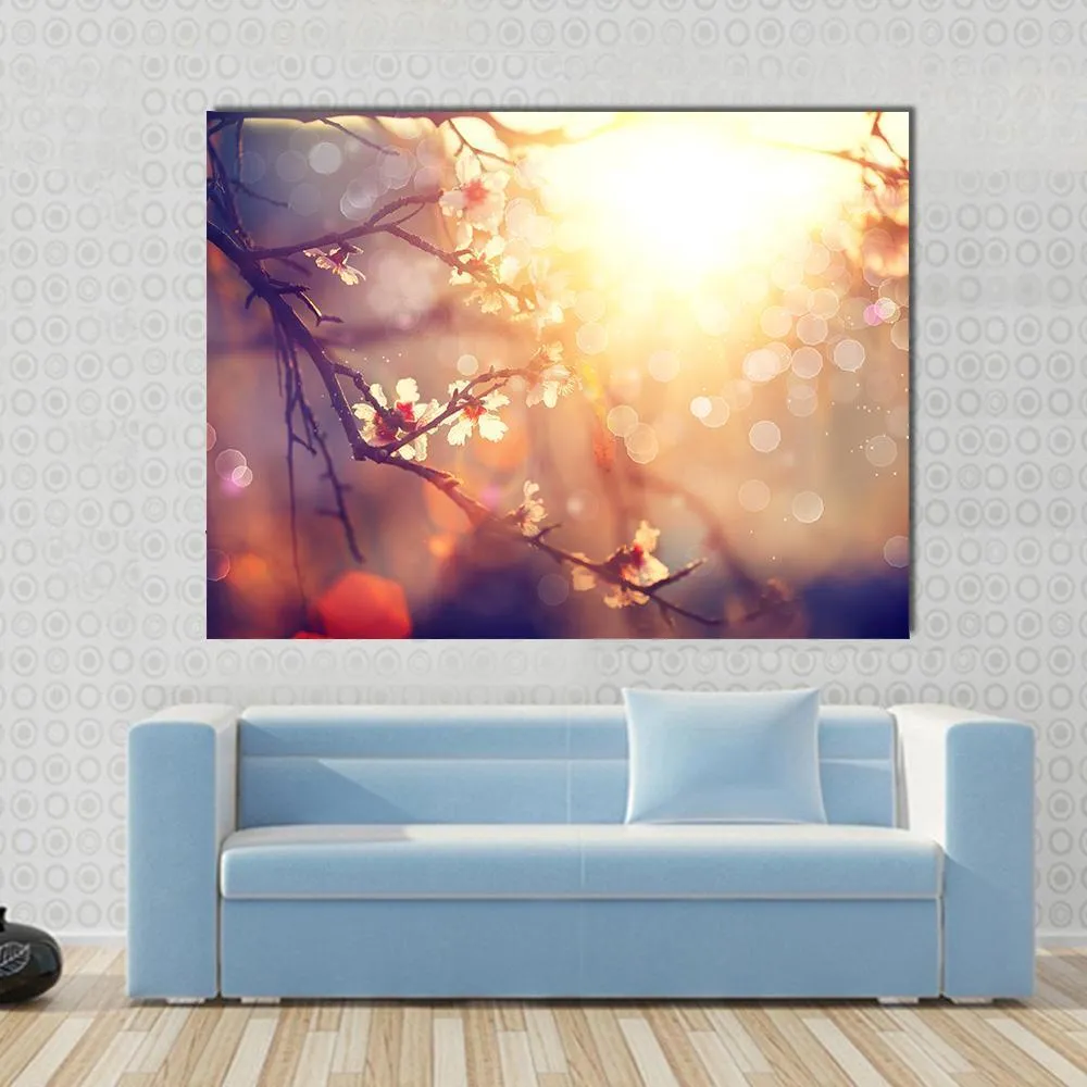 Blooming Tree With Sunlight Canvas Wall Art