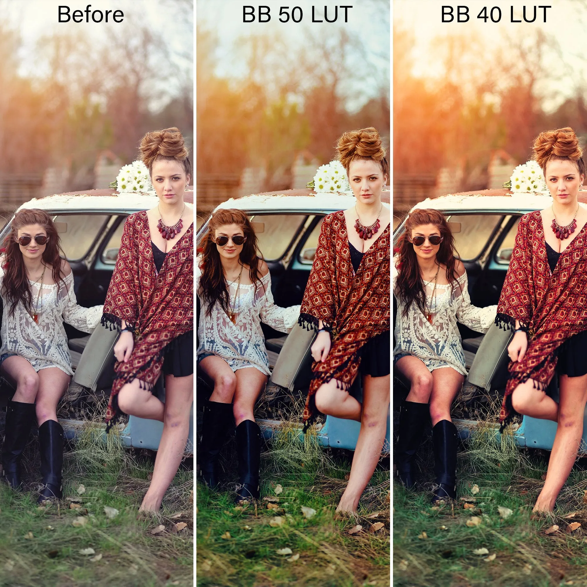 Bold & Bohemian Film LUTS – Desktop & Mobile