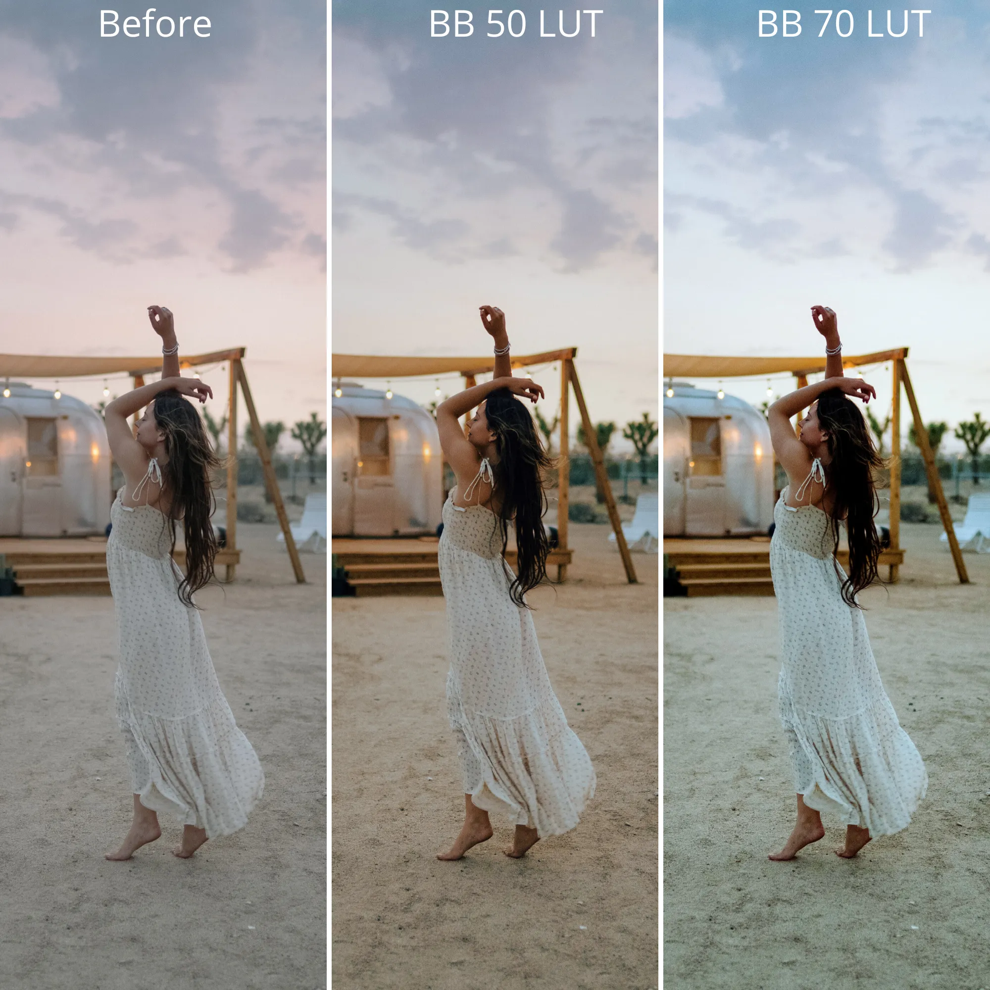 Bold & Bohemian Film LUTS – Desktop & Mobile