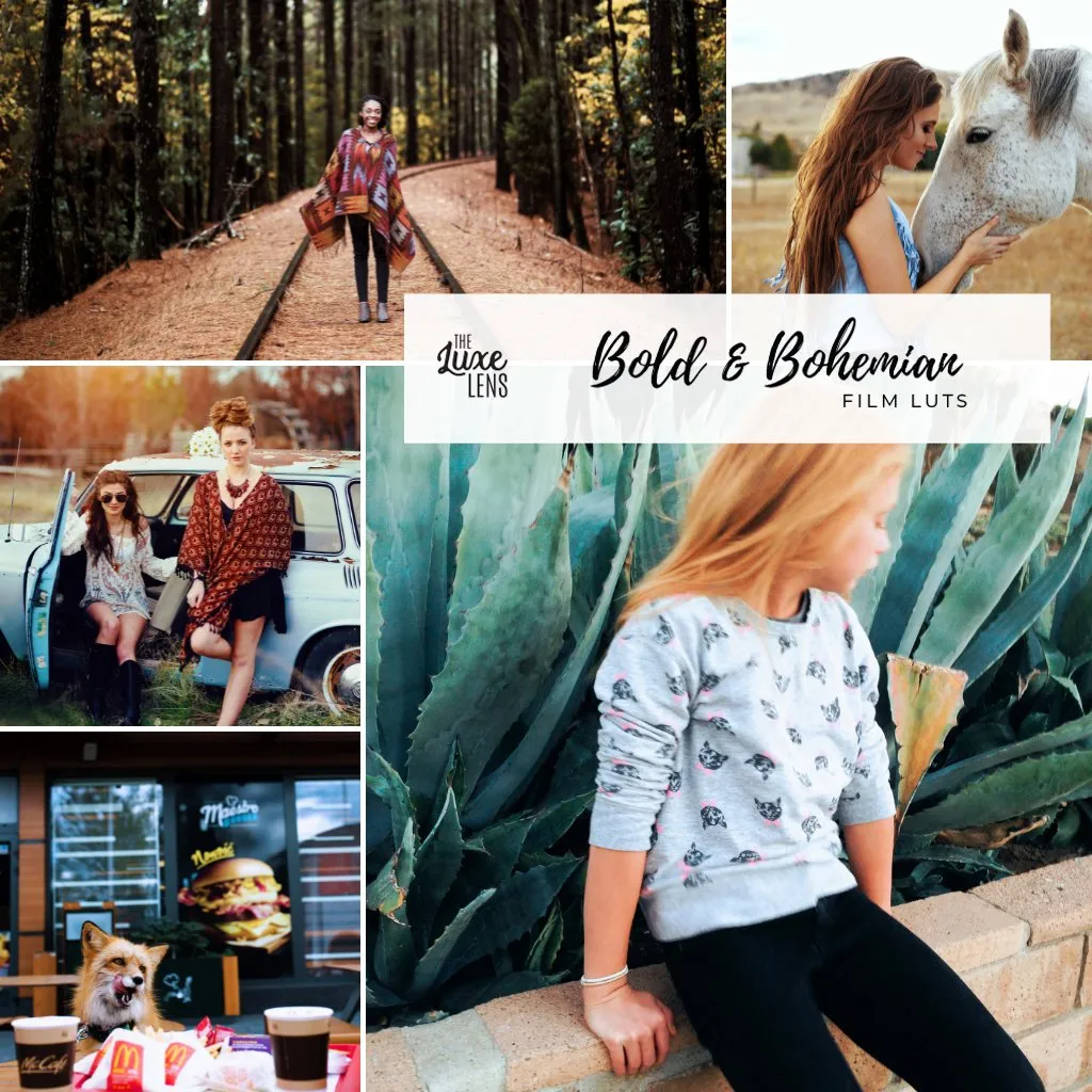 Bold & Bohemian Film LUTS – Desktop & Mobile