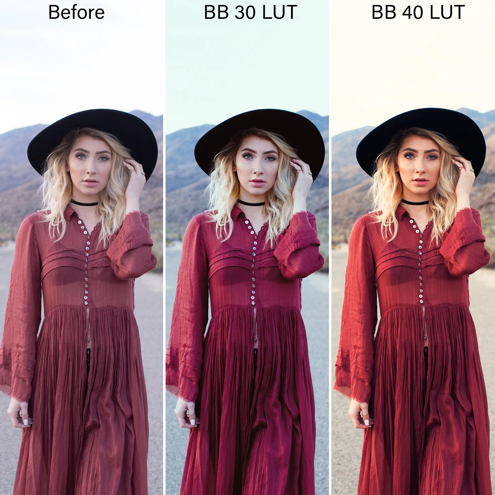 Bold & Bohemian Film LUTS – Desktop & Mobile