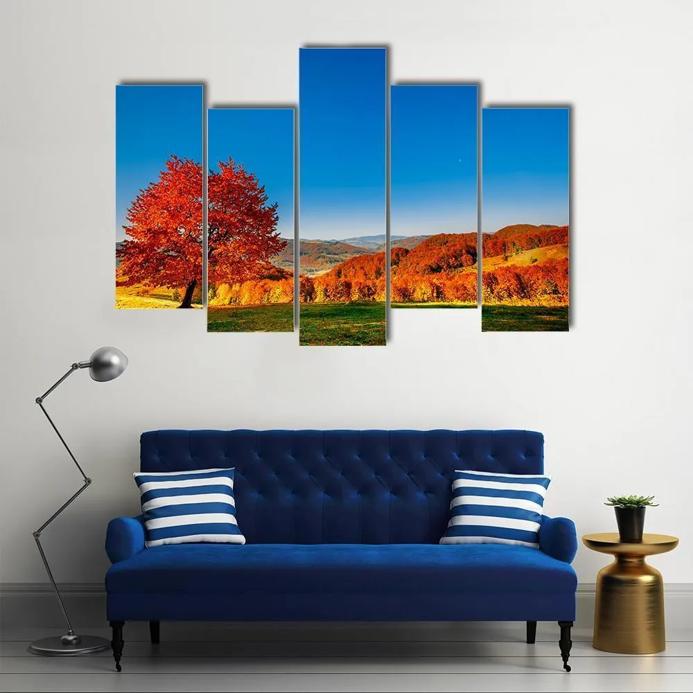 Carpathian Mountains In Autumn Canvas Wall Art