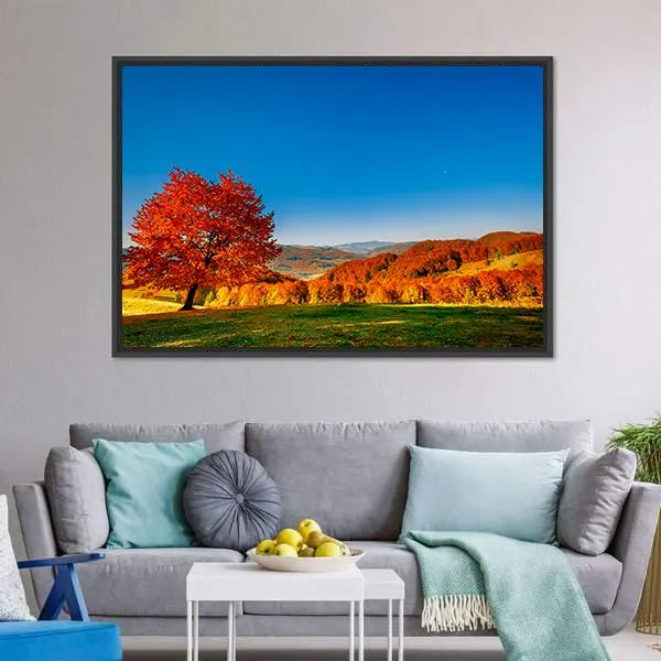 Carpathian Mountains In Autumn Canvas Wall Art