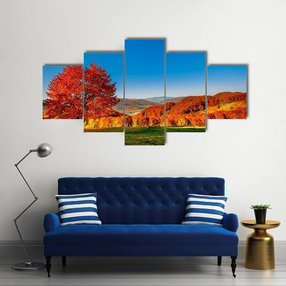 Carpathian Mountains In Autumn Canvas Wall Art