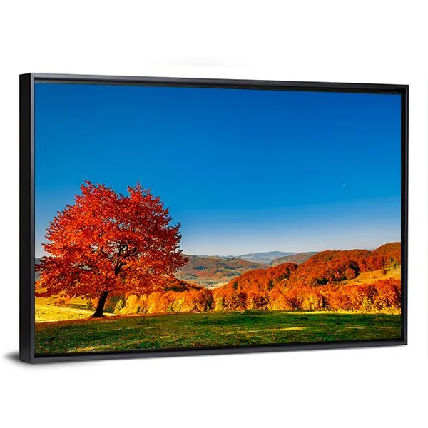 Carpathian Mountains In Autumn Canvas Wall Art