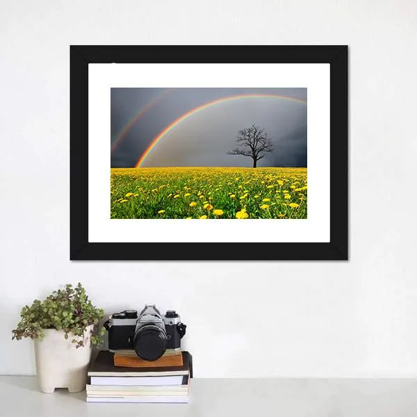 Dandelion Field With Rainbow Canvas Wall Art