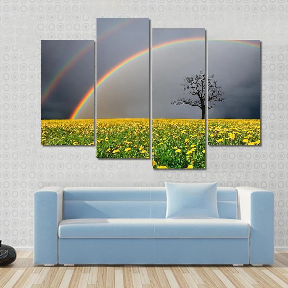 Dandelion Field With Rainbow Canvas Wall Art