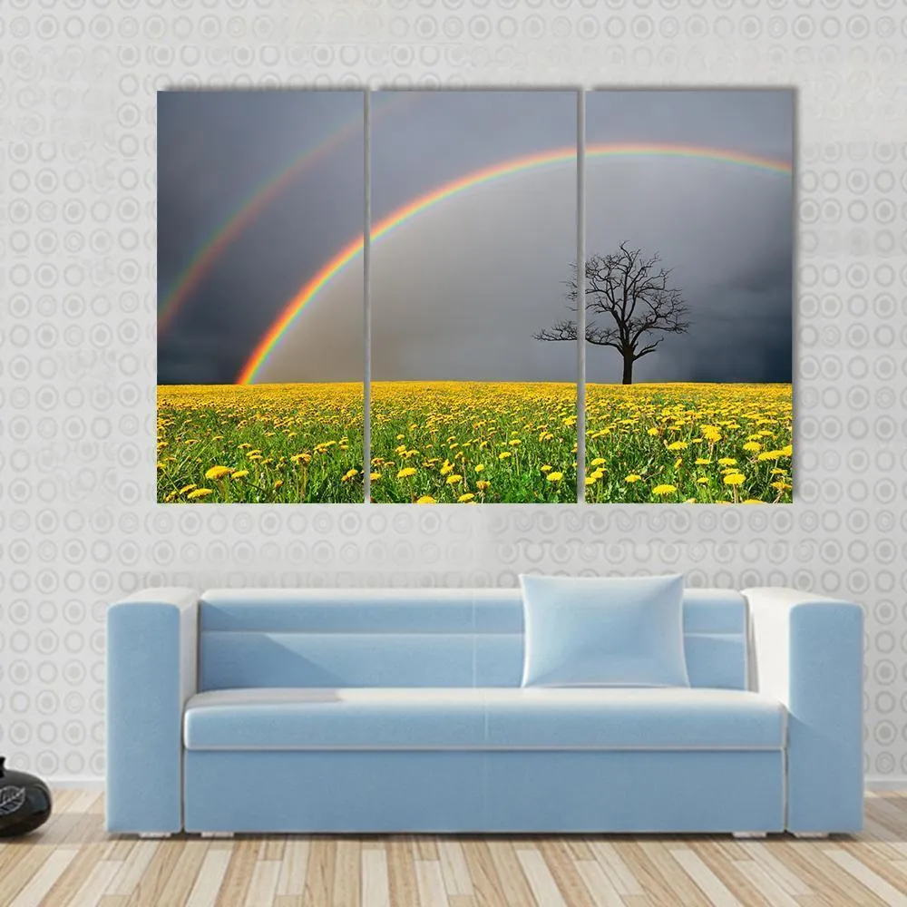 Dandelion Field With Rainbow Canvas Wall Art