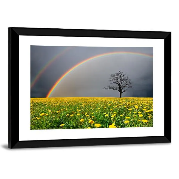 Dandelion Field With Rainbow Canvas Wall Art