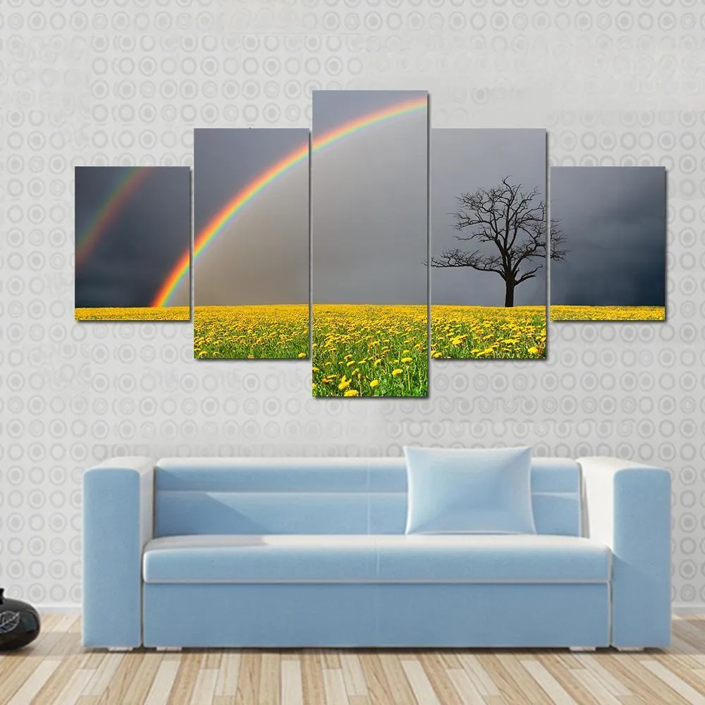 Dandelion Field With Rainbow Canvas Wall Art