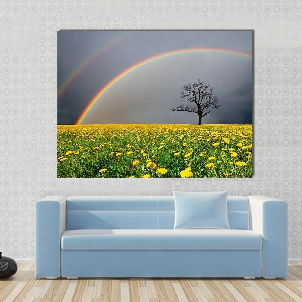 Dandelion Field With Rainbow Canvas Wall Art