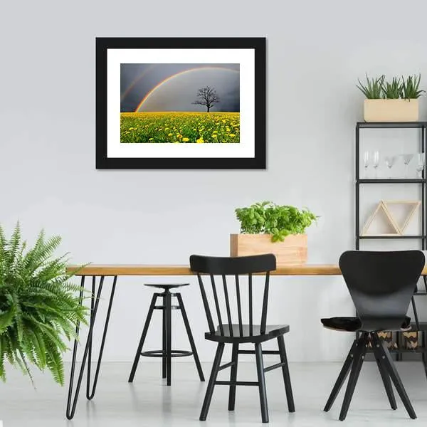 Dandelion Field With Rainbow Canvas Wall Art