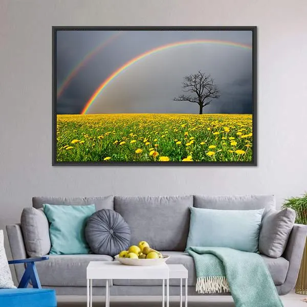 Dandelion Field With Rainbow Canvas Wall Art