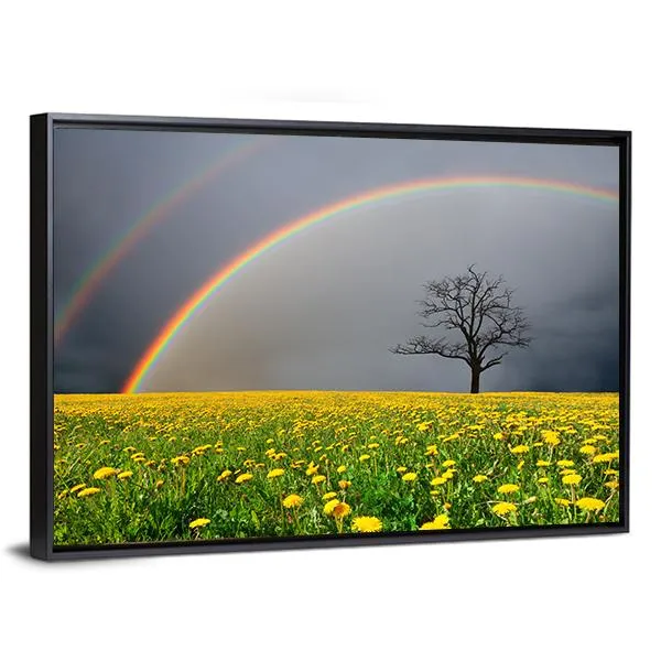 Dandelion Field With Rainbow Canvas Wall Art