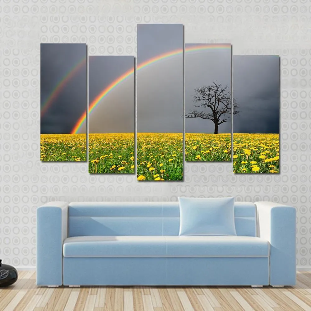 Dandelion Field With Rainbow Canvas Wall Art