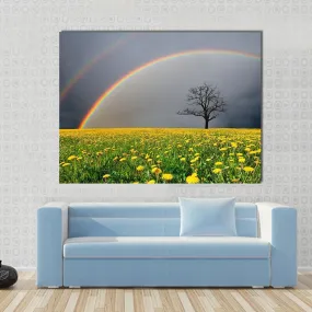 Dandelion Field With Rainbow Canvas Wall Art