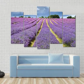 Lavender Field Canvas Wall Art