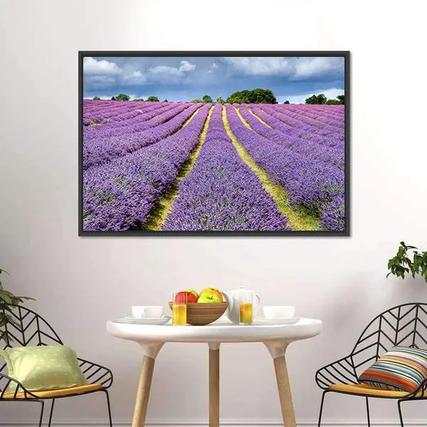 Lavender Field Canvas Wall Art