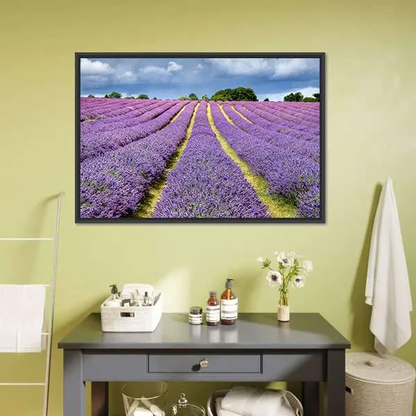 Lavender Field Canvas Wall Art