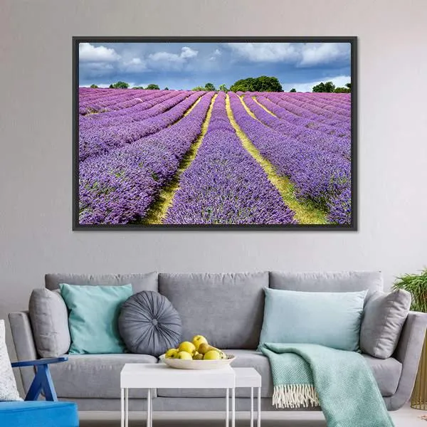 Lavender Field Canvas Wall Art