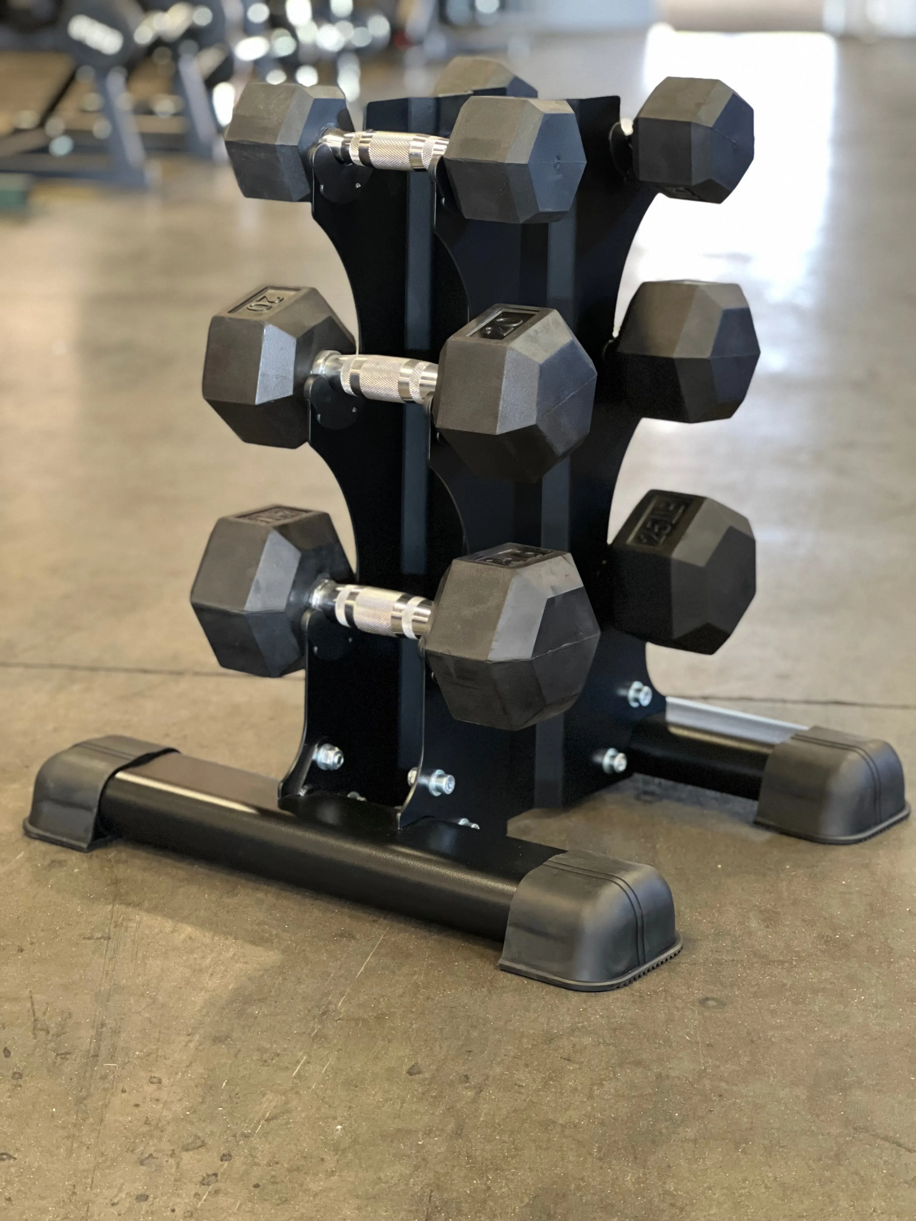 Vertical Dumbbell Racks